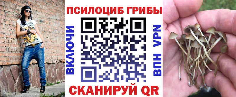 Псилоцибиновые грибы MAGIC MUSHROOMS  Горбатов 